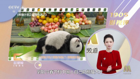 好看的国产精品